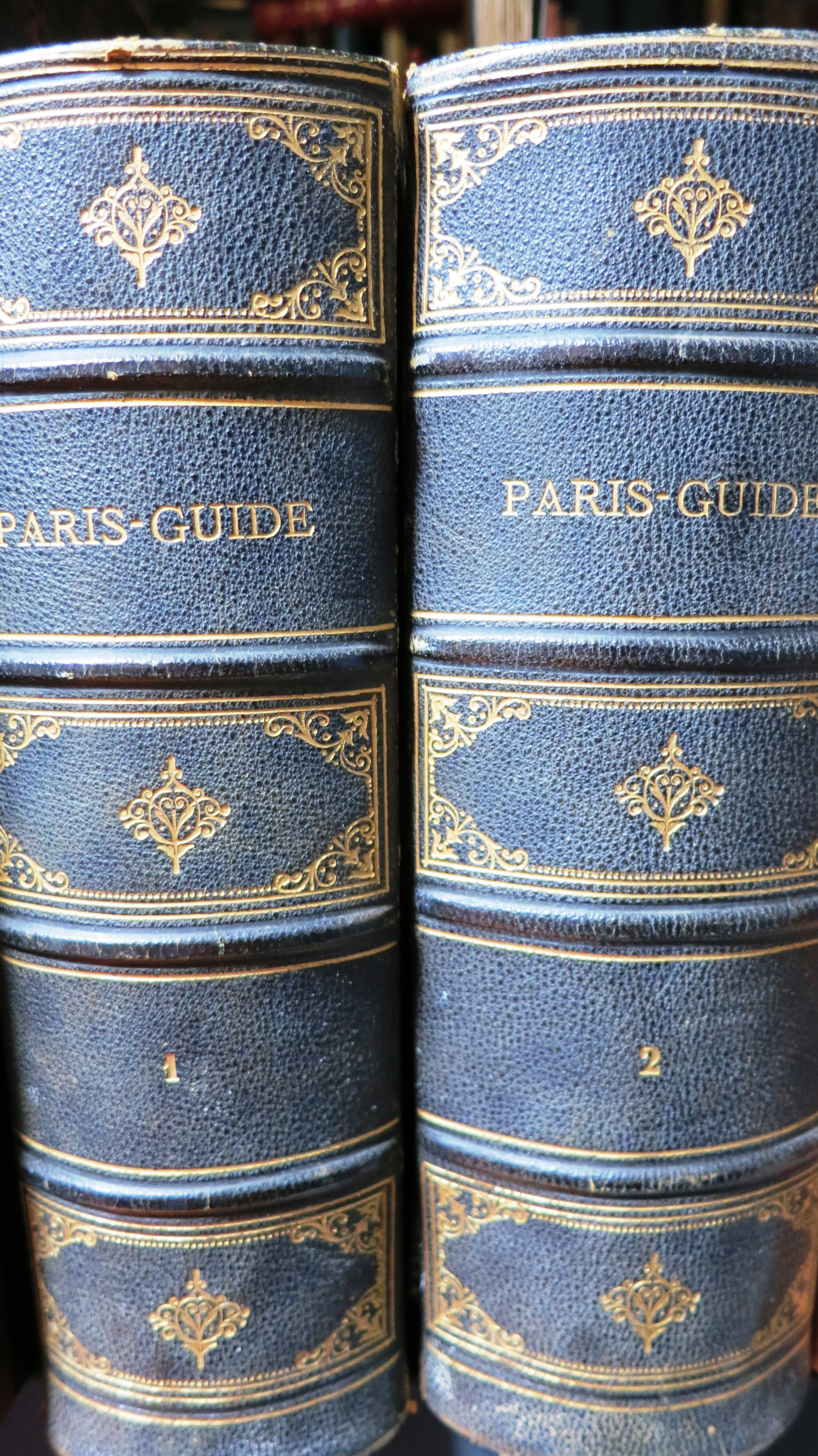 Paris guide