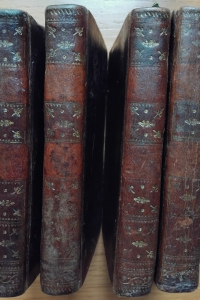 Histoire des prisons de Paris et des départemens  contenant des Mémoires rares et précieux