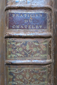 Praticien du Châtelet de Paris